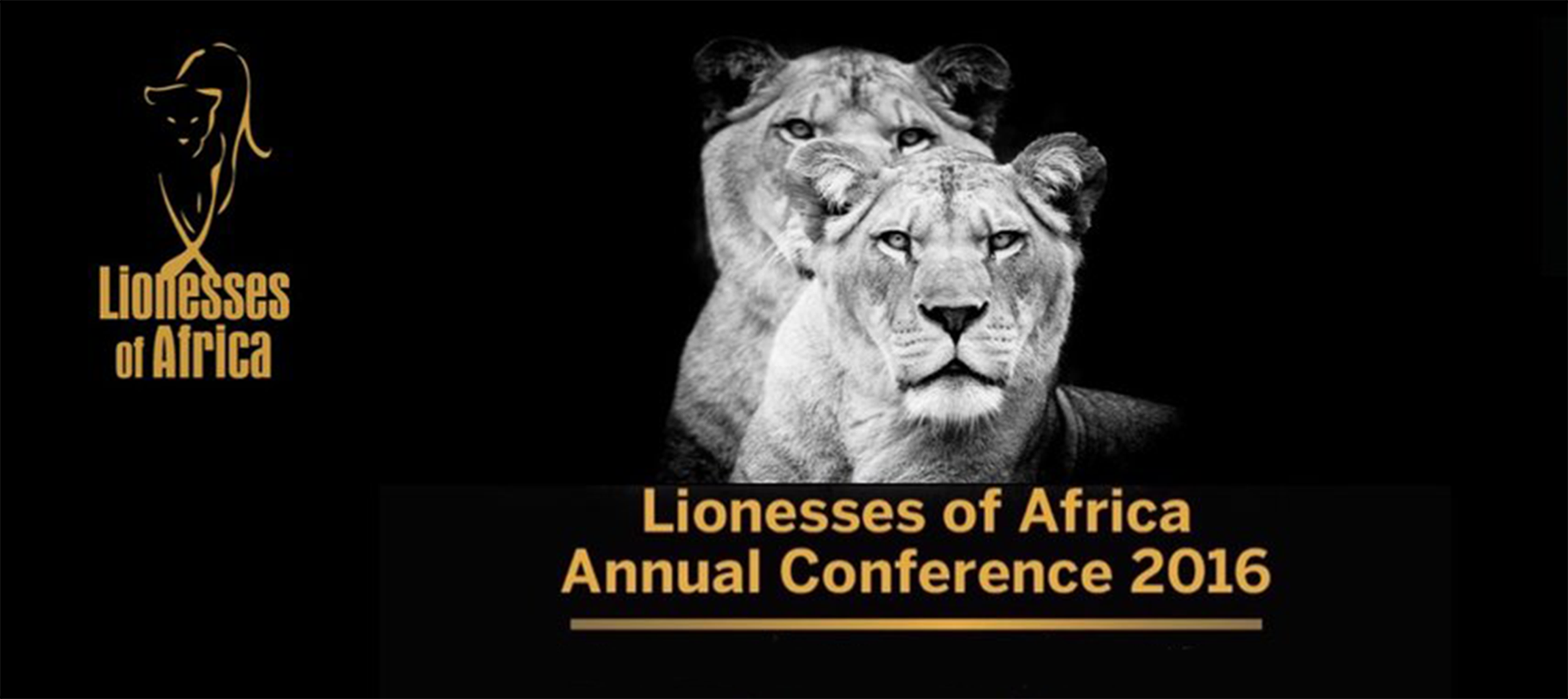 5 Takeways From The 2016 Lionesses Of Africa Annual Conference House 